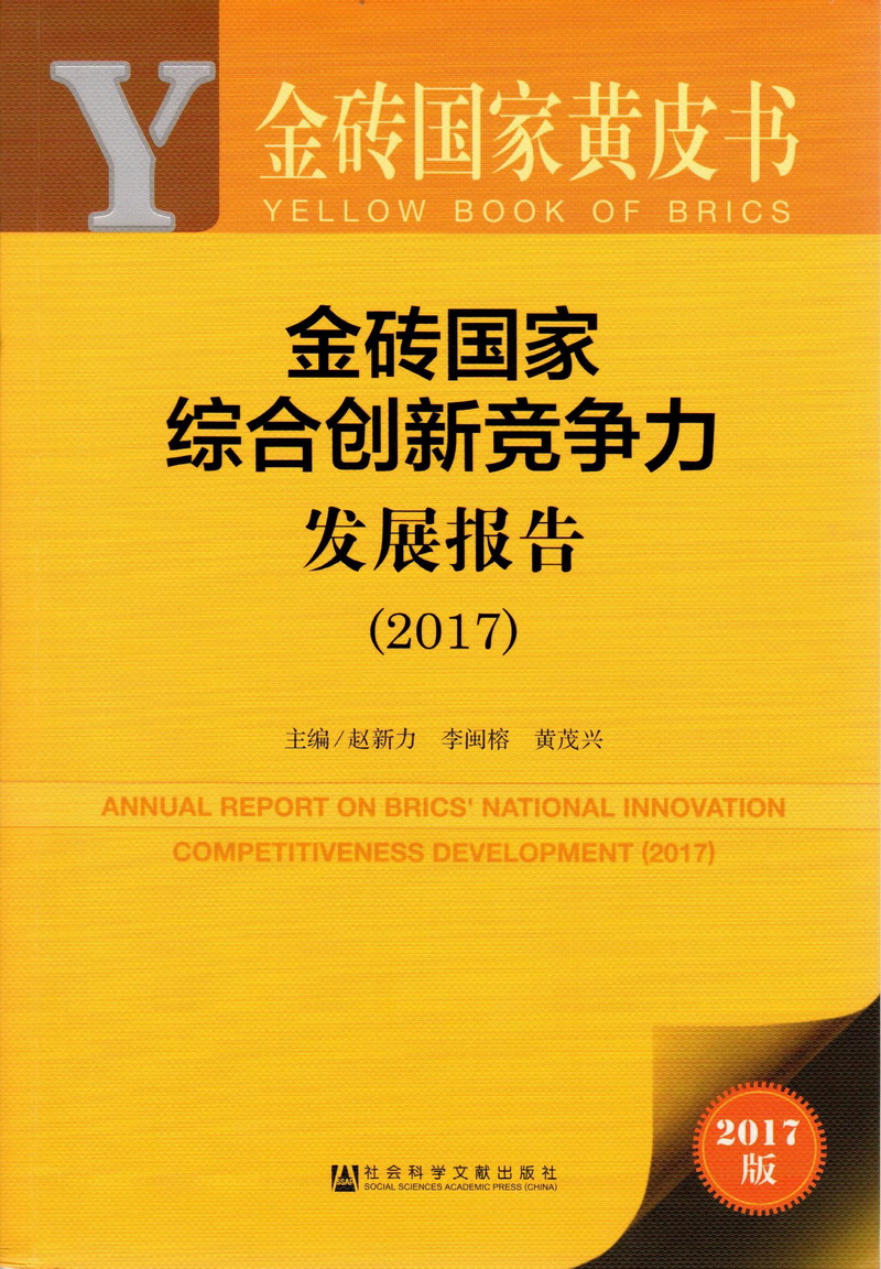 在线观看操鸡巴金砖国家综合创新竞争力发展报告（2017）